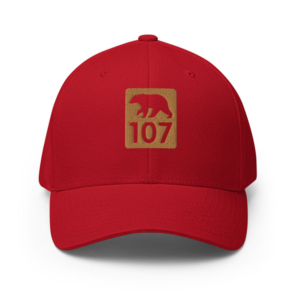 Bear 107 Structured Twill Cap