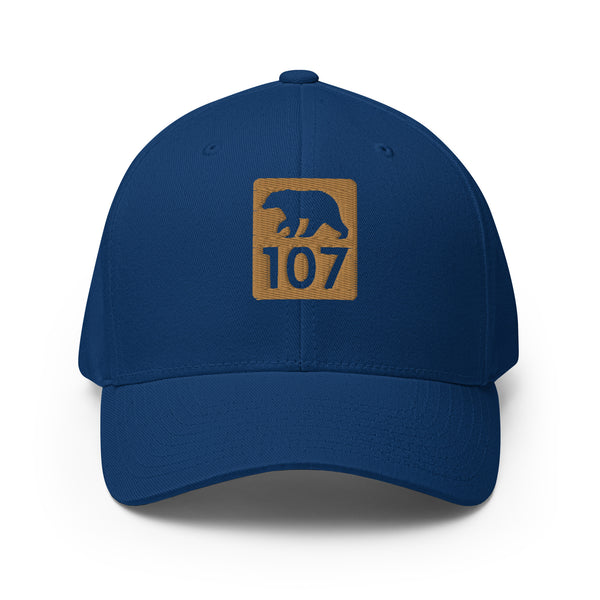 Bear 107 Structured Twill Cap