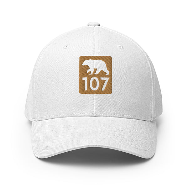 Bear 107 Structured Twill Cap