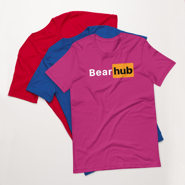 Gay Bear Pride Bear Hub t-shirt