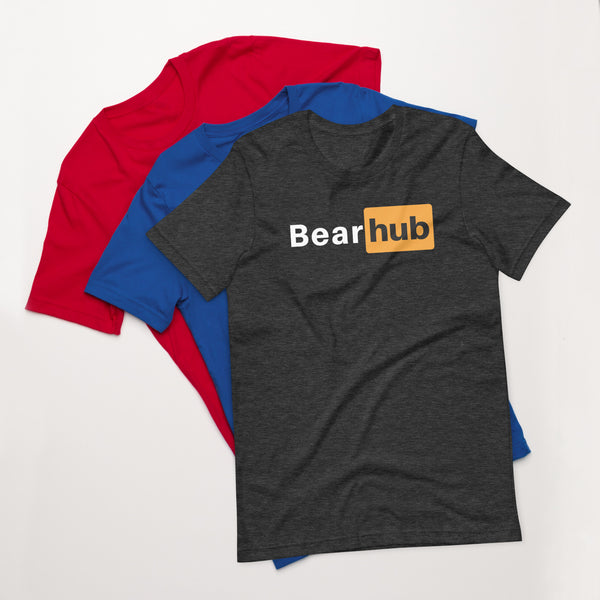 Gay Bear Pride Bear Hub t-shirt