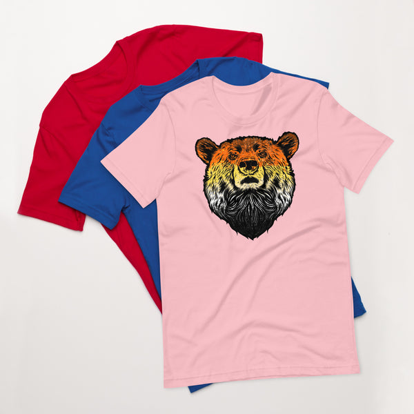 Bear Pride Flag Colour Bear t-shirt