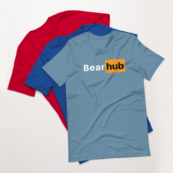 Gay Bear Pride Bear Hub t-shirt