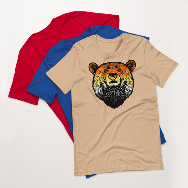 Bear Pride Flag Colour Bear t-shirt