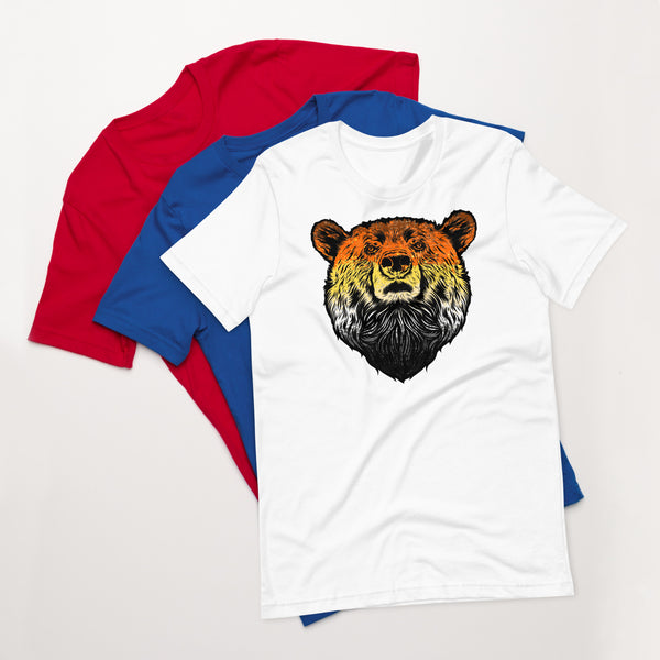 Bear Pride Flag Colour Bear t-shirt